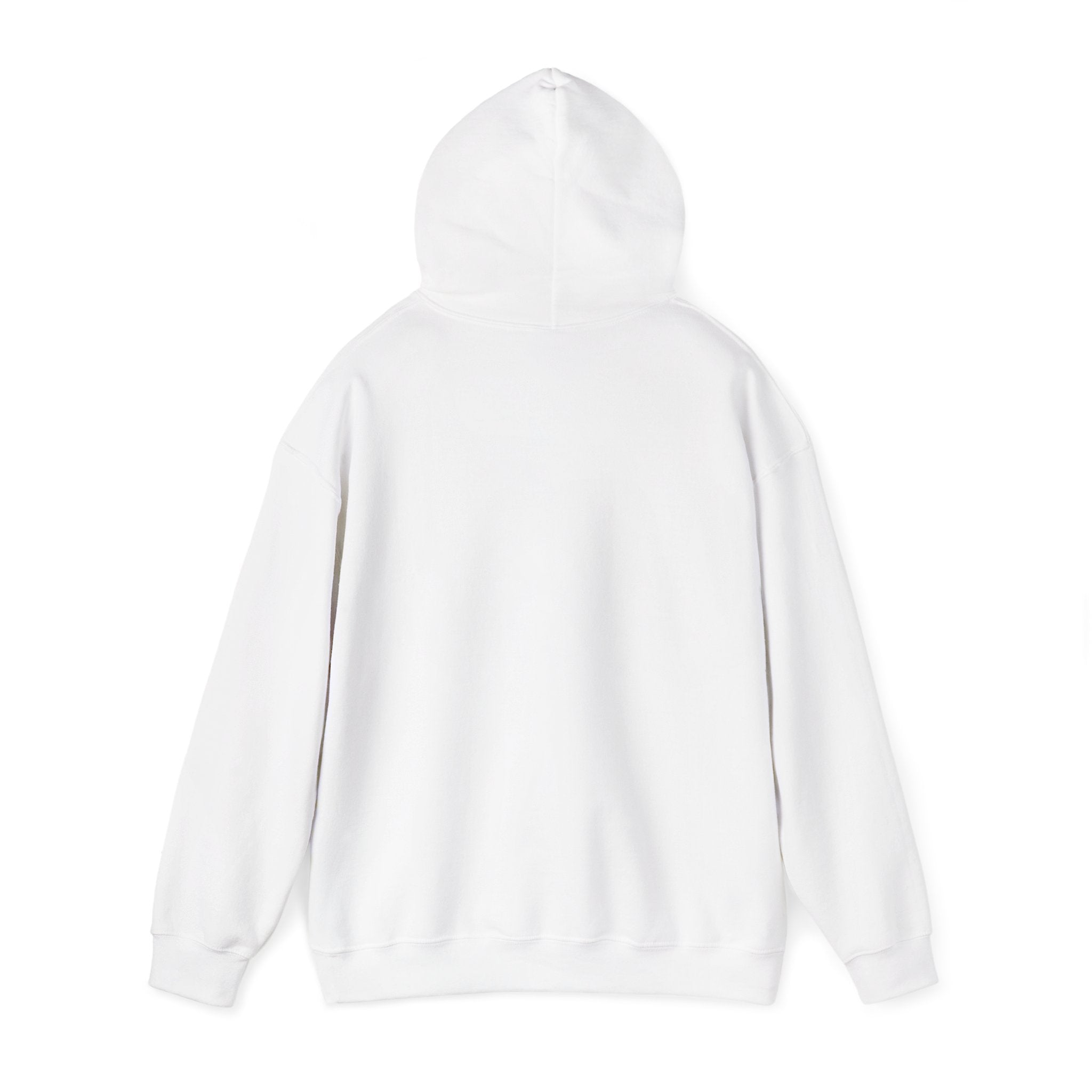 No Kings Hoodie — Winter Pullover